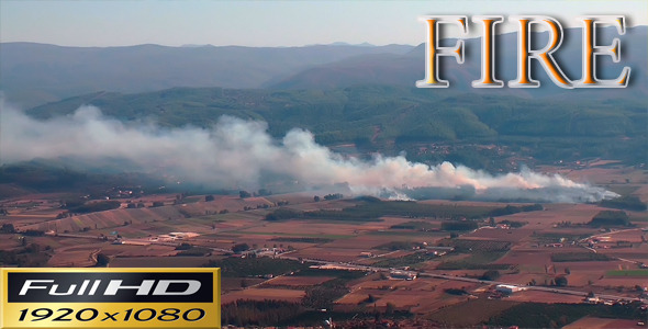 Fire in the Jungle FULL HD Fire in the Jungle FULL HD
