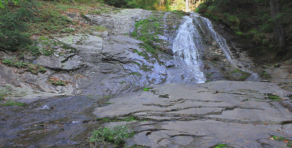 Waterfall In The Forest Waterfall In The Forest