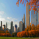 Chicago Autumn