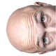 Domic