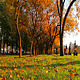 Autumn Park