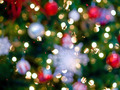 Photo of Abstract Christmas tree lights | Free christmas images