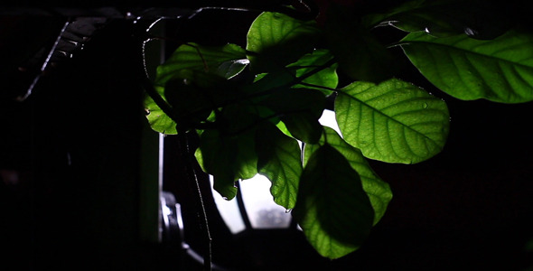 Night Rain 3 Night Rain 3