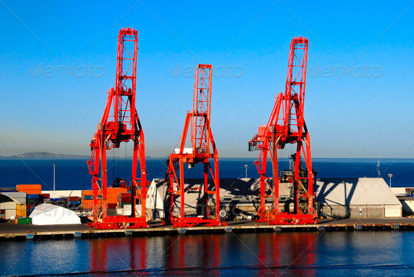 Shipping Cranes