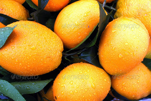Fresh orange fruits with green leaves and dew drops