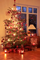 Photo of illuminated christmas trees | Free christmas images