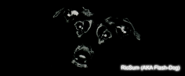 RicSum