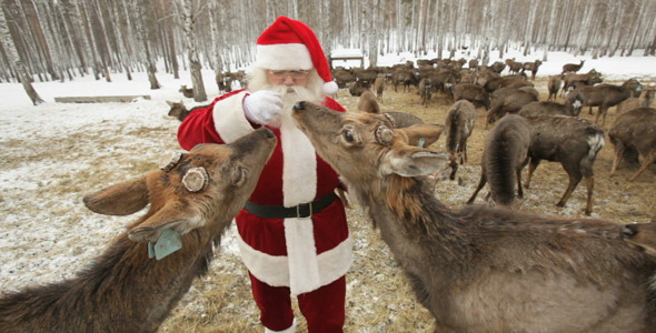 Hungry Herd Hungry Herd