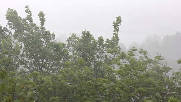 Storm 2 Storm 2