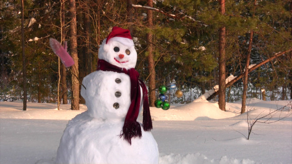 Happy Snowman Happy Snowman