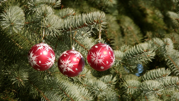 Christmas And New Year Ornament 6 Christmas And New Year Ornament 6