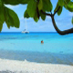 bluelagoon