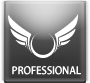 ThemeForest profile picture for @Professional