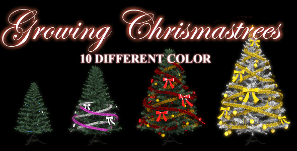 Growing Chrismas Tree Growing Chrismas Tree