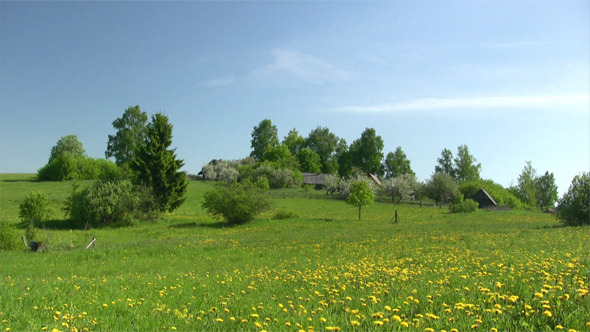 Rural Landscape With Apple Garden Rural Landscape With Apple Garden