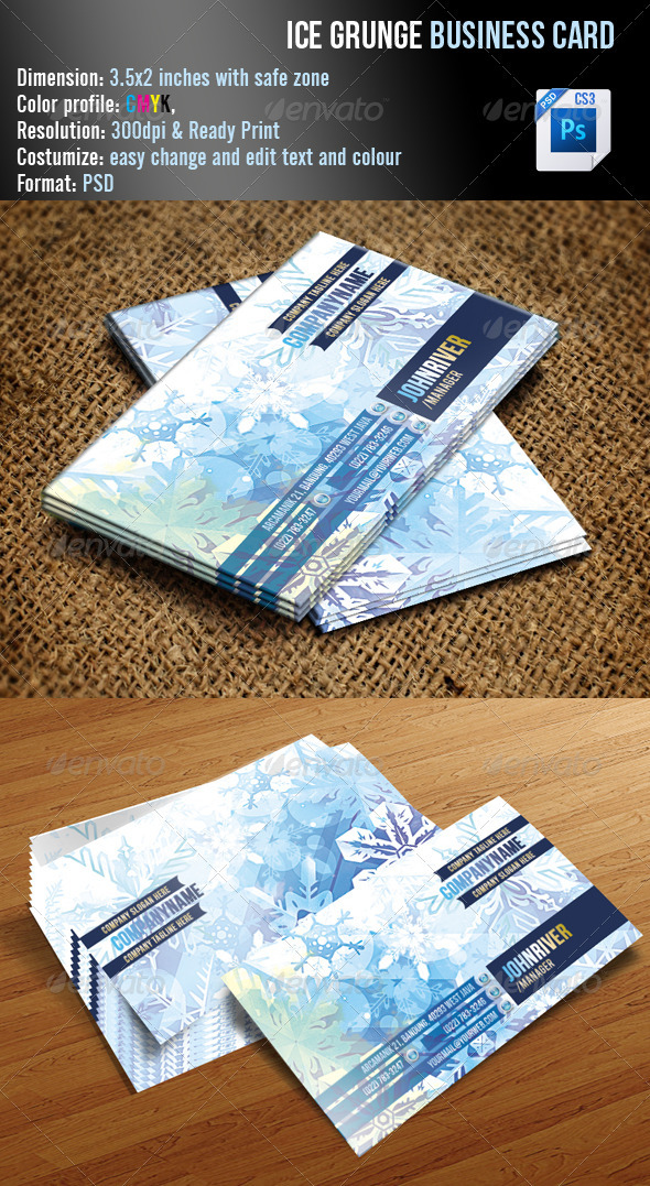 Ice Grunge Business Card Ice Grunge Business Card