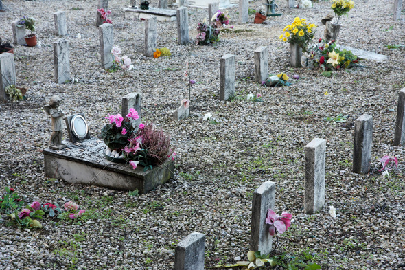 sad grave of a young child died and other sad gravestones