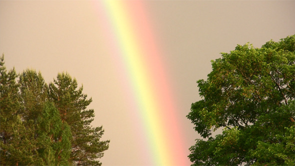 Colors Of Rainbow Colors Of Rainbow