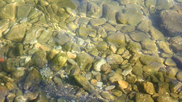 Stones on the seabed 1 Stones on the seabed 1