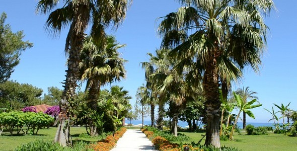 Palm Avenue Palm Avenue