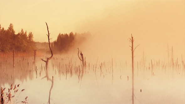 Sunrise On The Marsh Sunrise On The Marsh