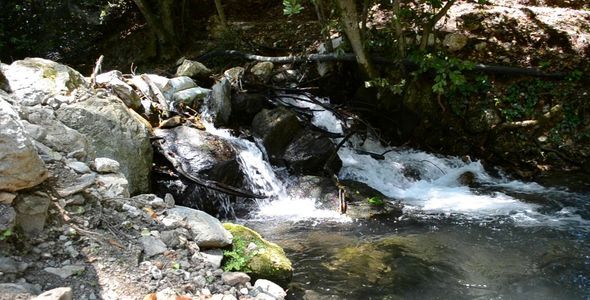 The Mountain River The Mountain River