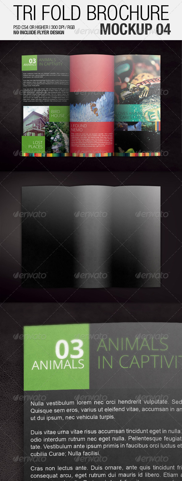 Tri Fold Brochure Mockup 04 - Brochures Print