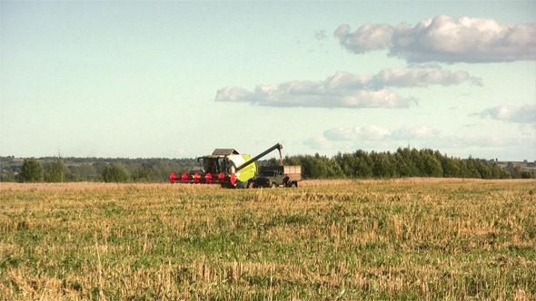 Harvest Time Harvest Time