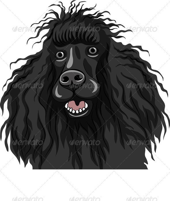 Vector Black Smiling Dog Poodle Breed Vector Black Smiling Dog Poodle Breed