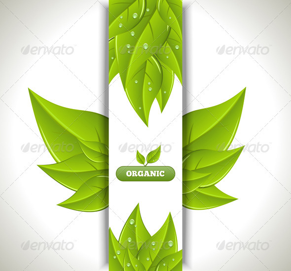 Eco Banner - Backgrounds Decorative