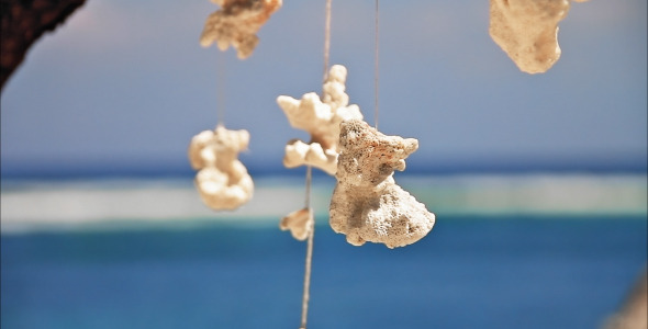 Sea Decorations Sea Decorations
