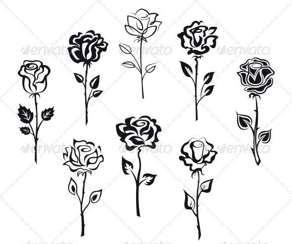 Set of Rose Flowers Set of Rose Flowers