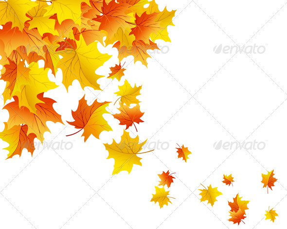 Autumn Background Autumn Background