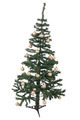 Photo of isolated christmas tree | Free christmas images