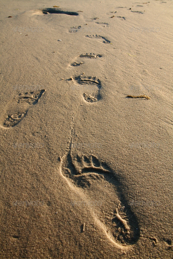 footprint sand and beach