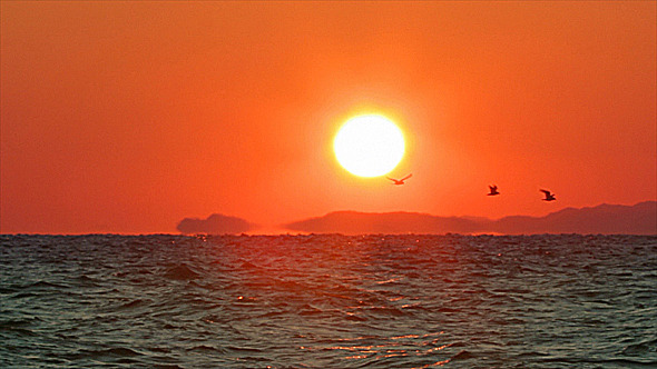 Sun Seascape 2 Sun Seascape 2