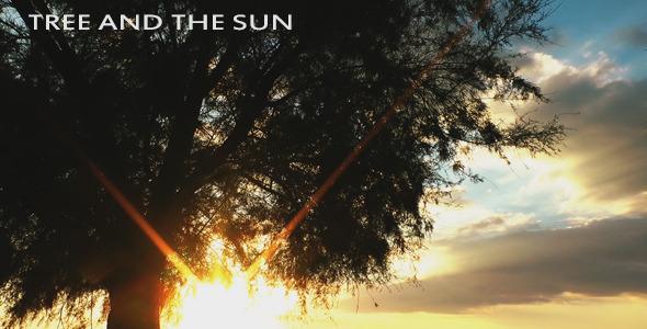 The Tree and the Sun The Tree and the Sun