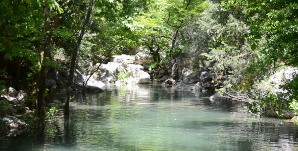The Mountain River The Mountain River