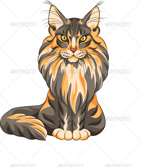 maine coon coloring pages - photo #15