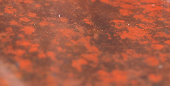 Snow Falls On Iron Plate And Melts Away Snow Falls On Iron Plate And Melts Away