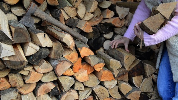 Taking Wood Logs 2 Taking Wood Logs 2