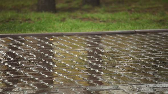 Rain Rain