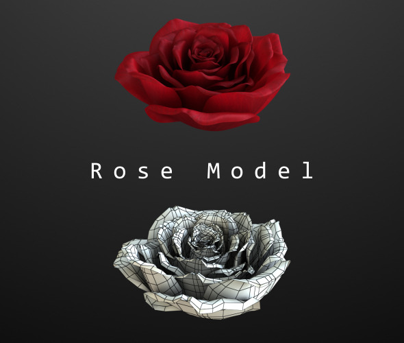 Rose Model