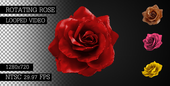 Rose Rotate Rose Rotate