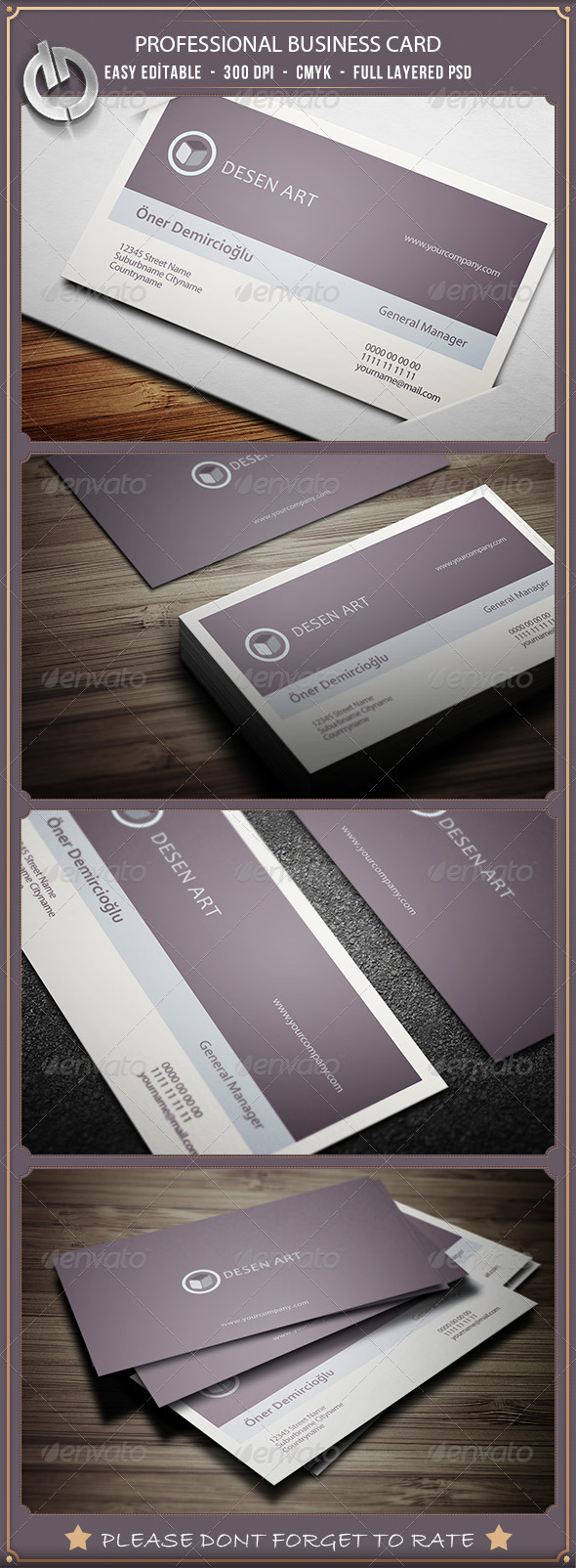 Professional Business Card 10 Professional Business Card 10