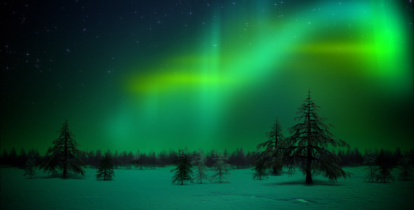 Polar Lights in Forest Loop Polar Lights in Forest Loop