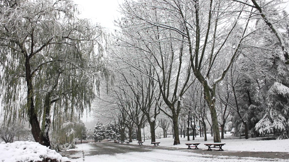 Snowy Landscapes Video Snowy Landscapes Video