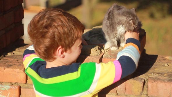 Boy Playing with a Cat 2 Boy Playing with a Cat 2