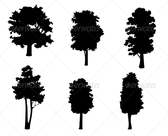 Tree Silhouettes Tree Silhouettes