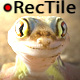RecTile